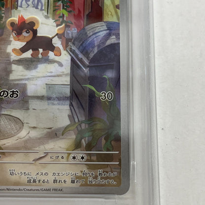 PSA10 シシコ AR 066/063 serial:158783704【加古川店】