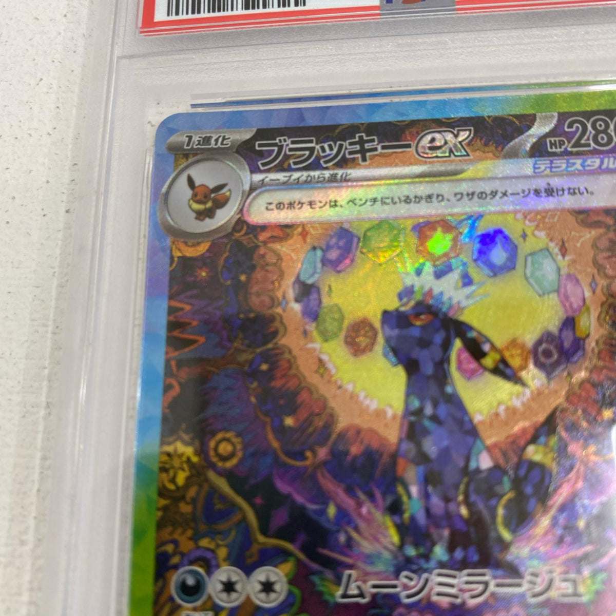 PSA10 ブラッキーex SAR 217/187 serial:142648066【加古川店】