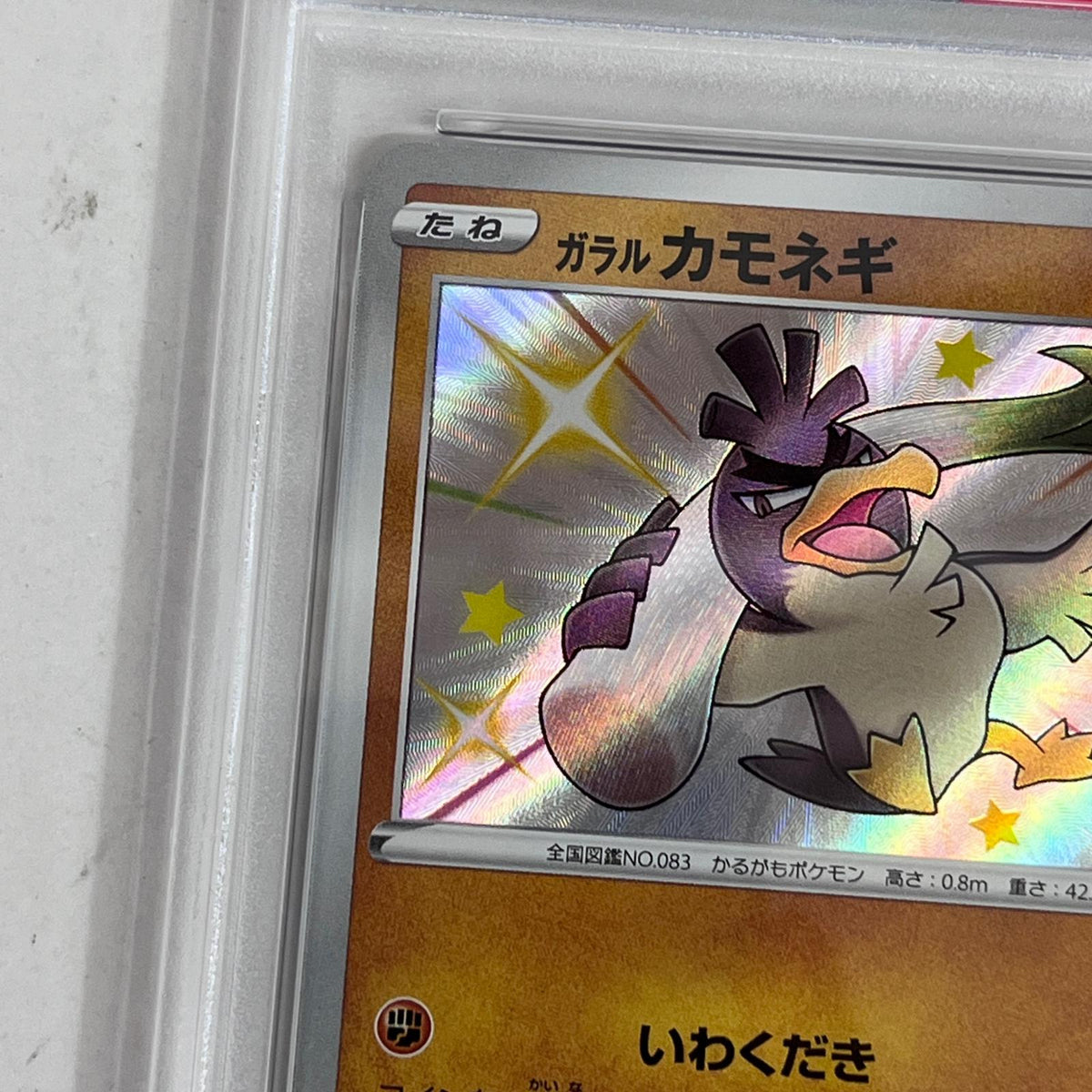 PSA10 ガラルカモネギ S 262/190 serial:156634281【加古川店】