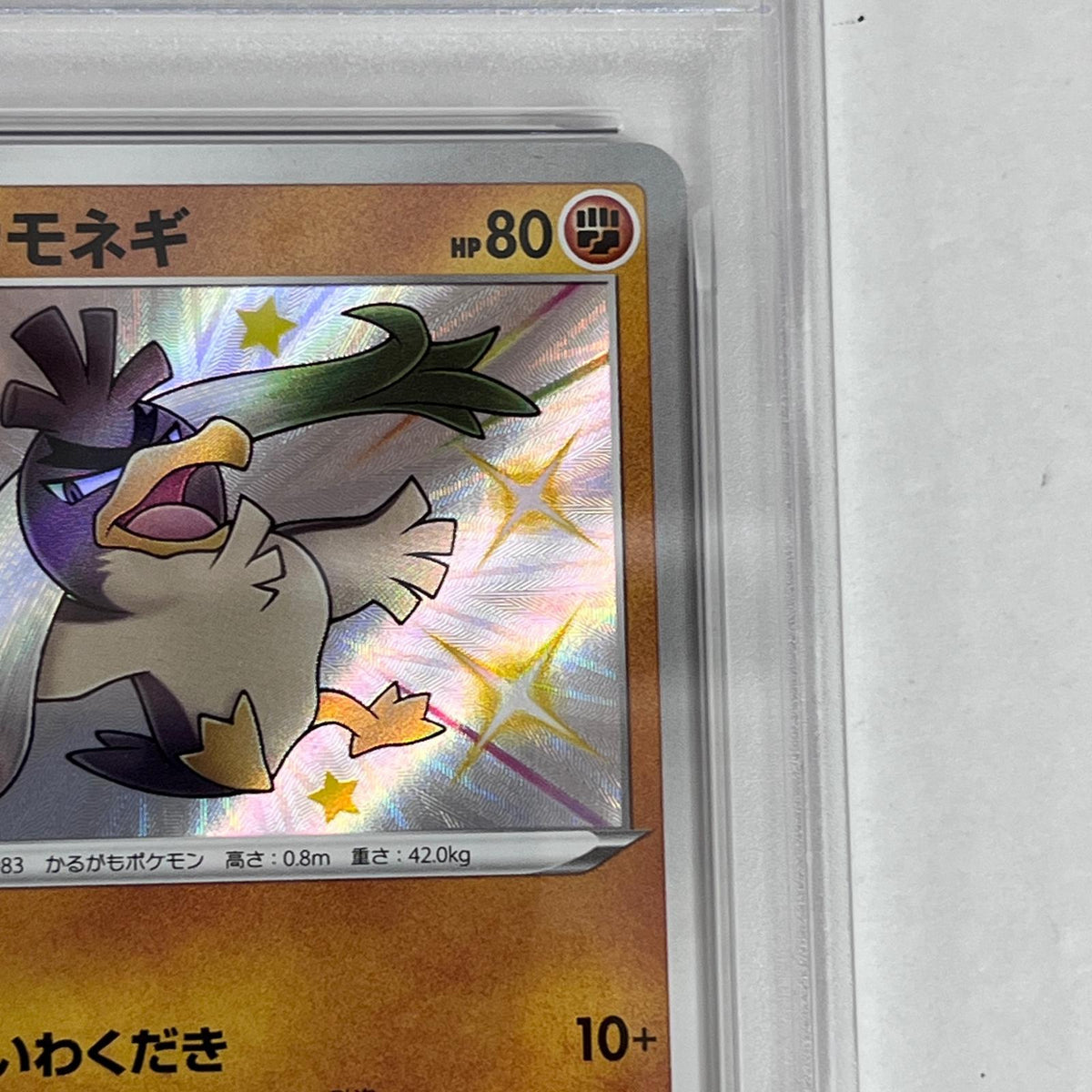 PSA10 ガラルカモネギ S 262/190 serial:156634281【加古川店】