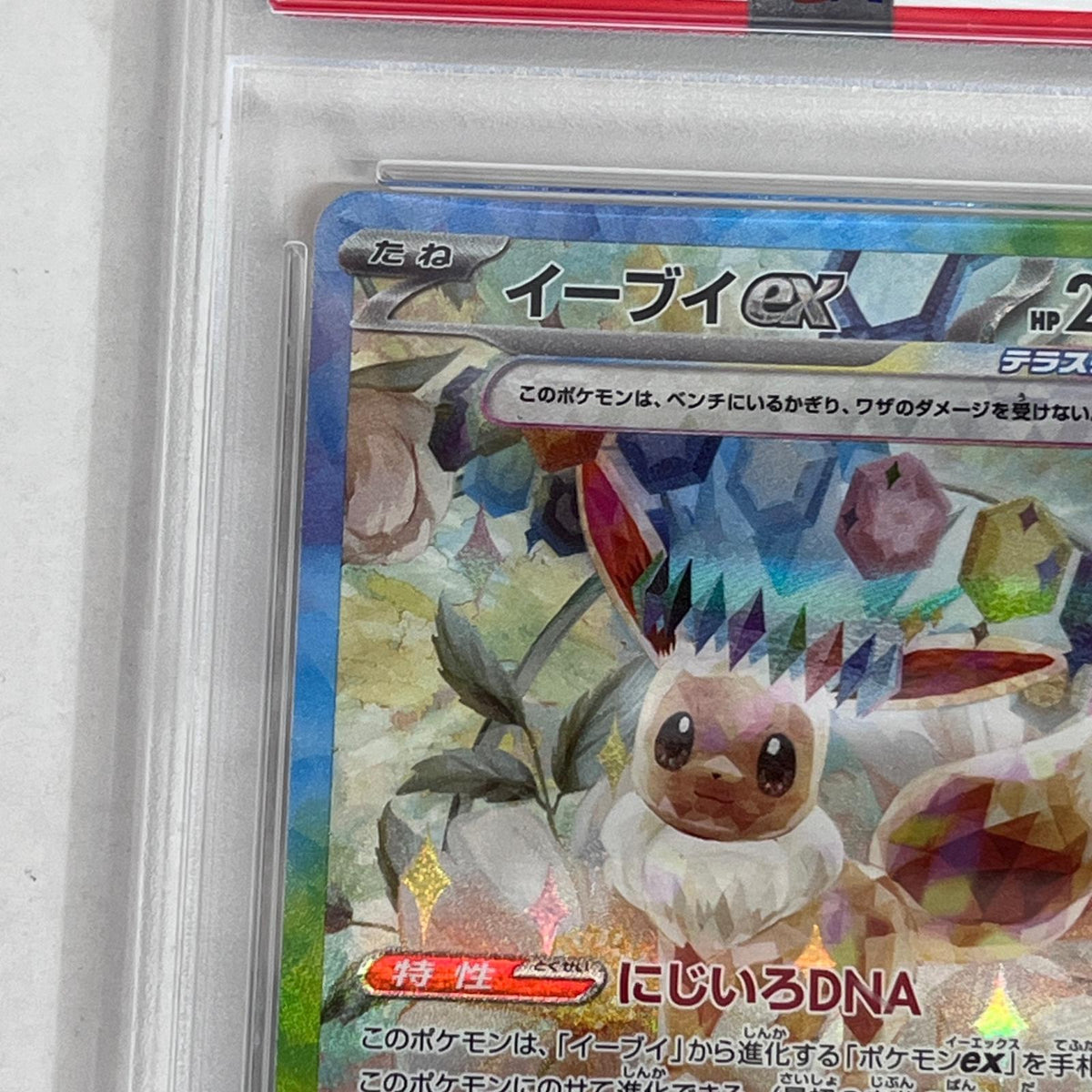 PSA10 イーブイex SAR 223/187 serial:104185573【加古川店】