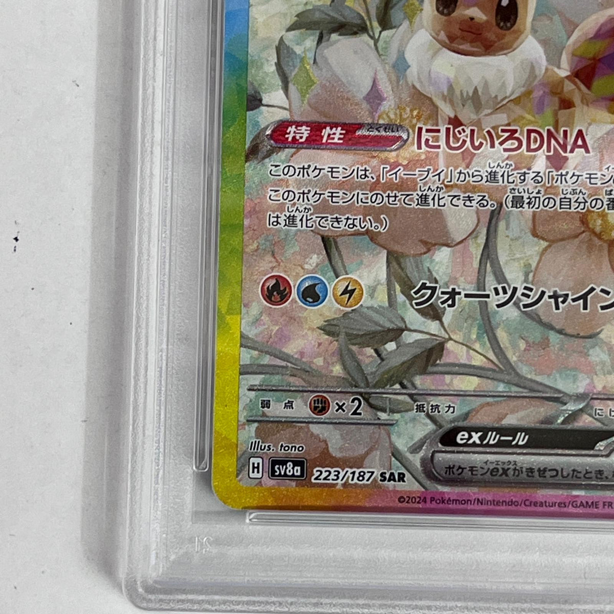 PSA10 イーブイex SAR 223/187 serial:104185573【加古川店】