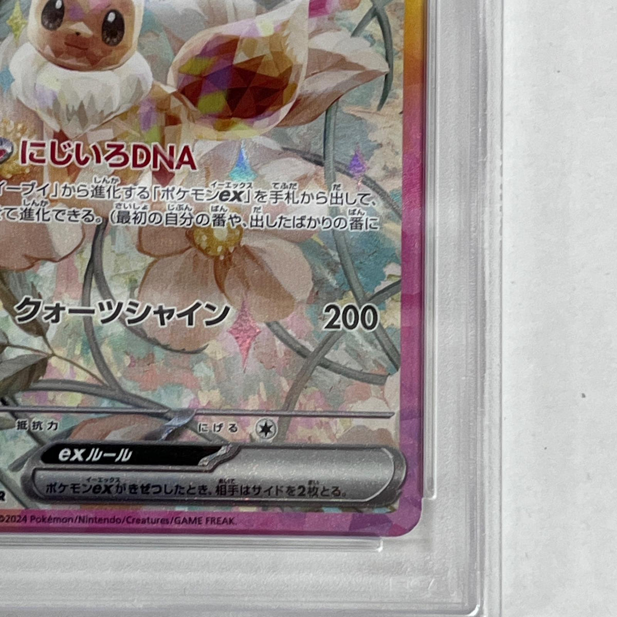 PSA10 イーブイex SAR 223/187 serial:104185573【加古川店】