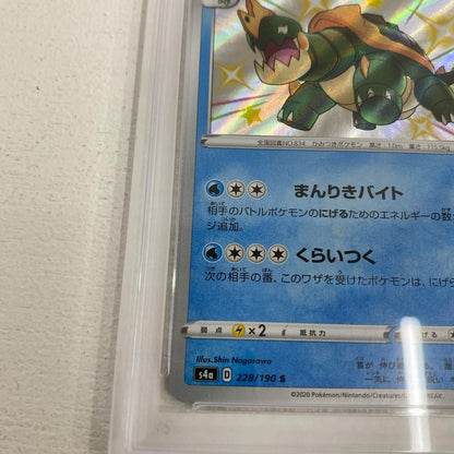 PSA10 カジリガメ S 228/190 serial:135791554【加古川店】