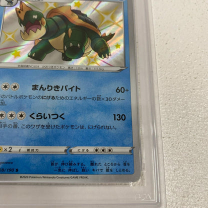 PSA10 カジリガメ S 228/190 serial:135791554【加古川店】