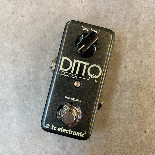 tc electronic | ティーシーエレクトロニック 楽器 DITTO Looper【三重本店】