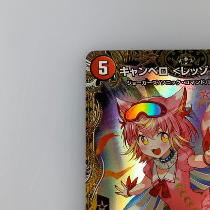 [Used] Canvero <Rezzo.Star> SR DM22-RP2-SP3