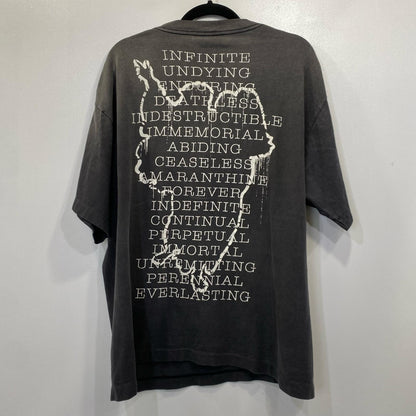 SAINT MICHAEL | セントマイケルセイントマイケル SS TEE / HOPE SPRING 半袖Ｔシャツ SM-HR8-0000-006 USED加工 グレー サイズ：L【姫路東店】