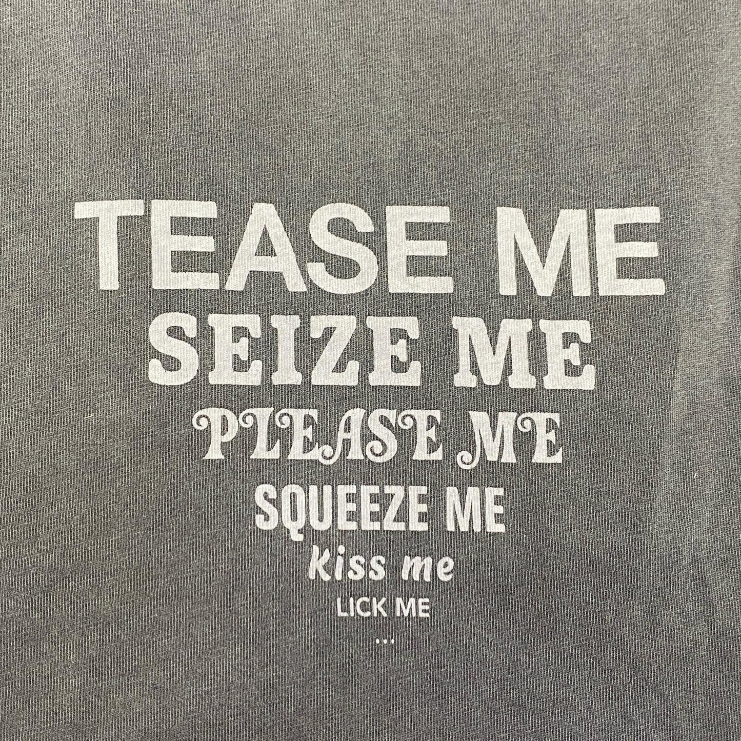 VETEMENTS | ヴェトモンベトモン TEASE ME FADED T-SHIRT 半袖Ｔシャツ UE63TR280B 並行品 チャコールグレー サイズ：S【姫路東店】