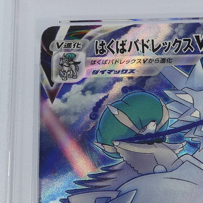 【姫路東】【中古】ポケモンカードポケカ CSR)はくばバドレックスVMAX S8b E 221/184 CSR PSA10 serial:136298885