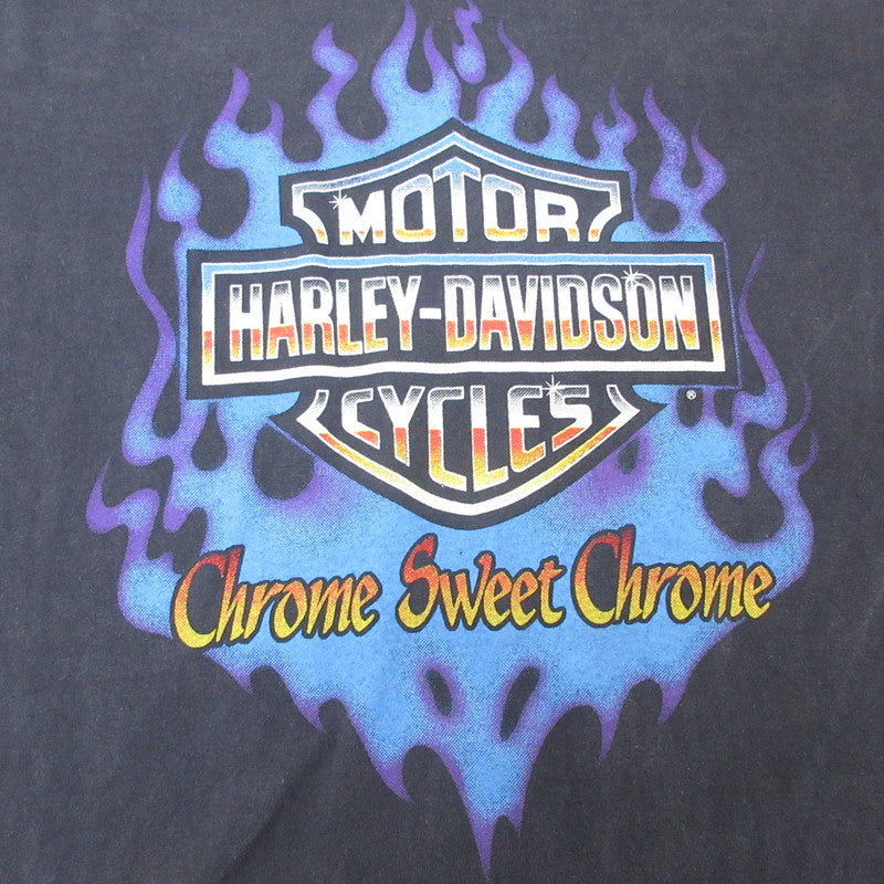 HARLEY-DAVIDSON | ハーレーダビットソン ファイヤーパターン 長袖Ｔシャツ ブラック サイズ：L【姫路東店】