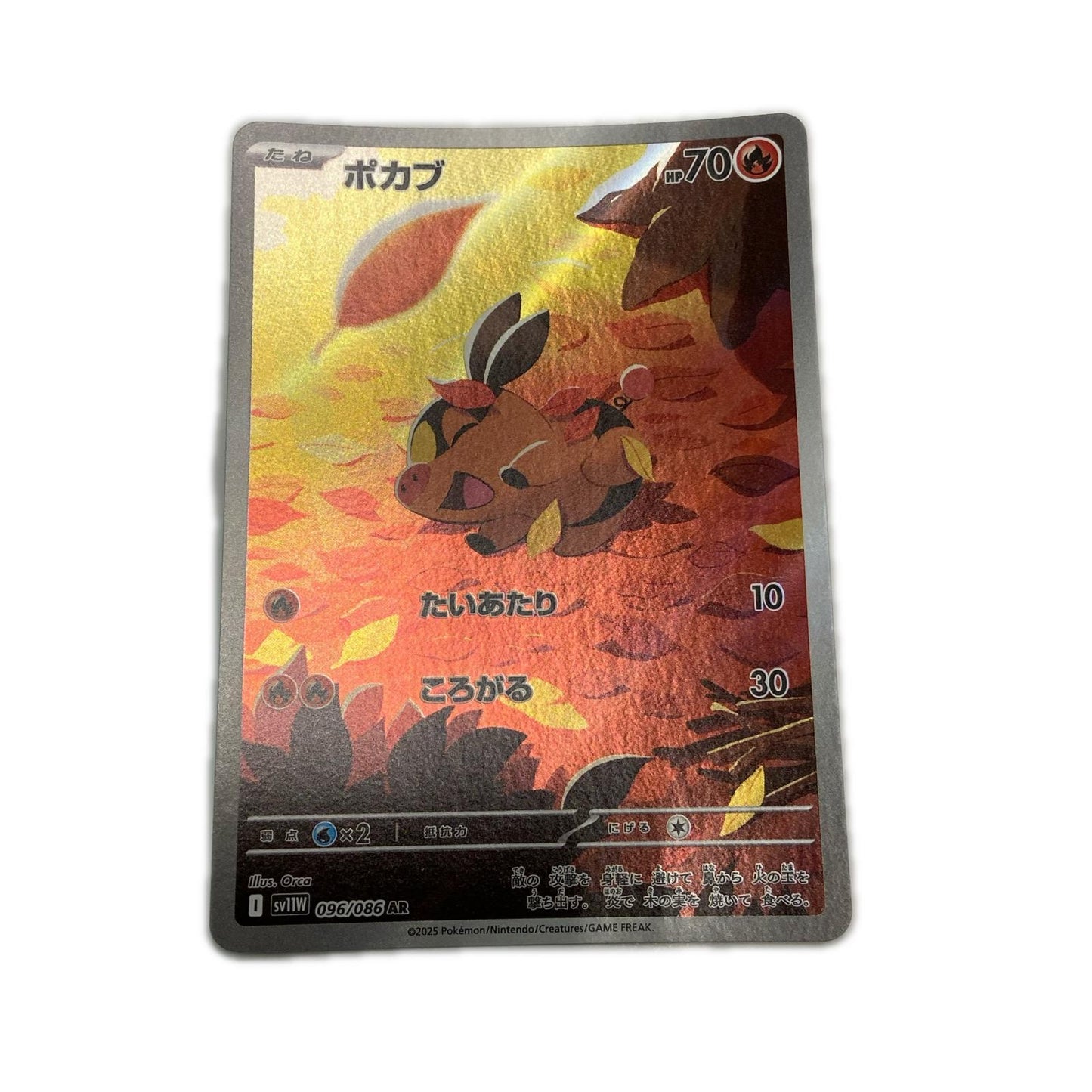 【倉吉店】 中古 トレーディングカード SV11W 拡張パック「ホワイトフレア」 SV11W 096/086 ポカブ AR【362】