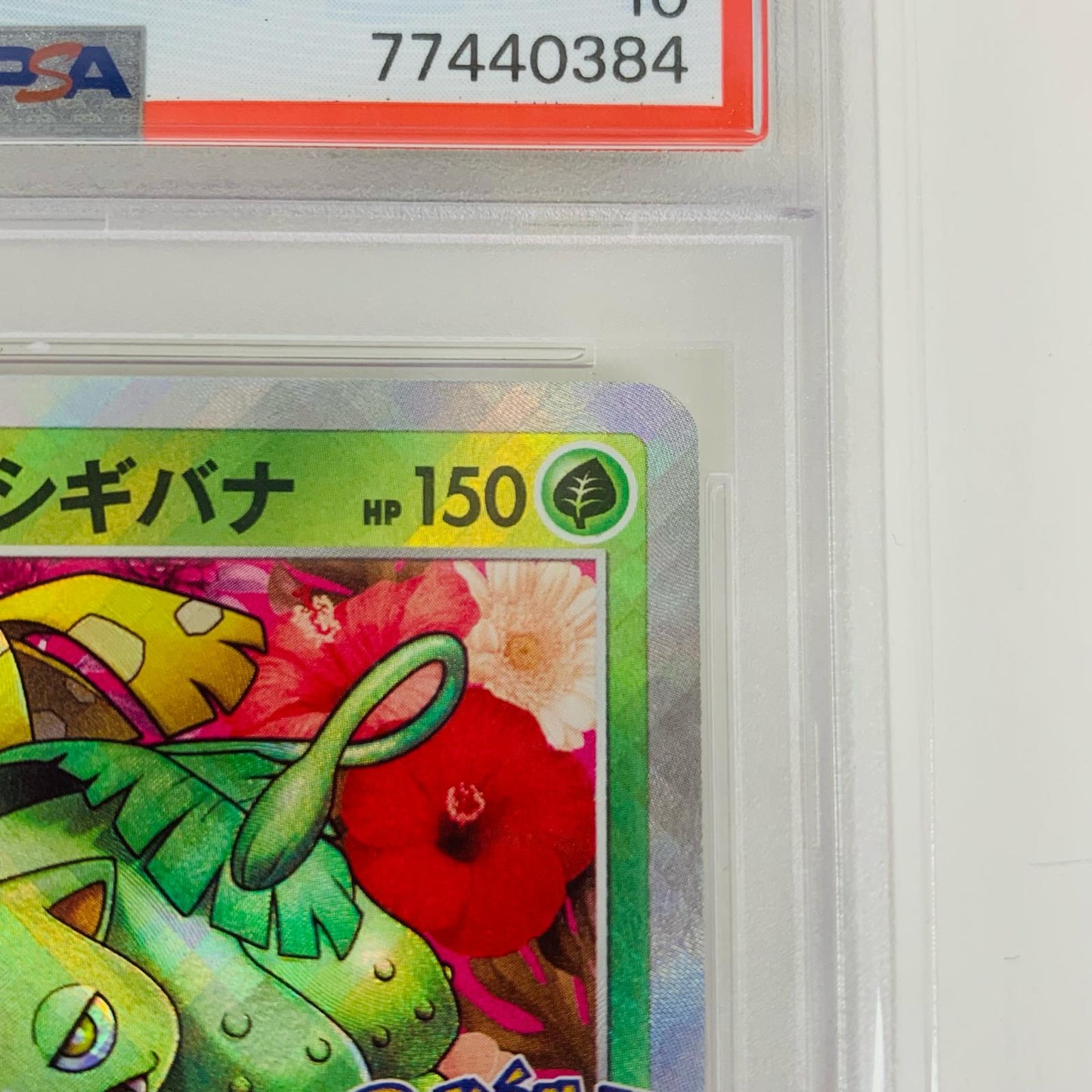 【Used】 PSA10 Radiant Venusaur K S10b-004