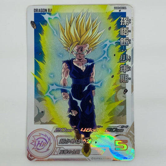 【中古】 孫悟飯：少年期(超かめはめ波) C UGM5-002 DA ドラゴンボールヒーローズ トレーディングカード 孫悟飯：少年期 12th ANNIVERSARY SUPER GUIDE 付録 UGM5-002 DA【飾磨店】