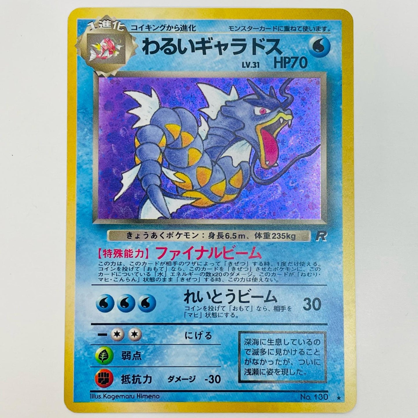 【中古】 わるいギャラドスLV.31