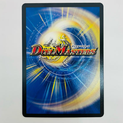 [Used] Mirage and Decisions of Integrity SR DM25-RP1-S7