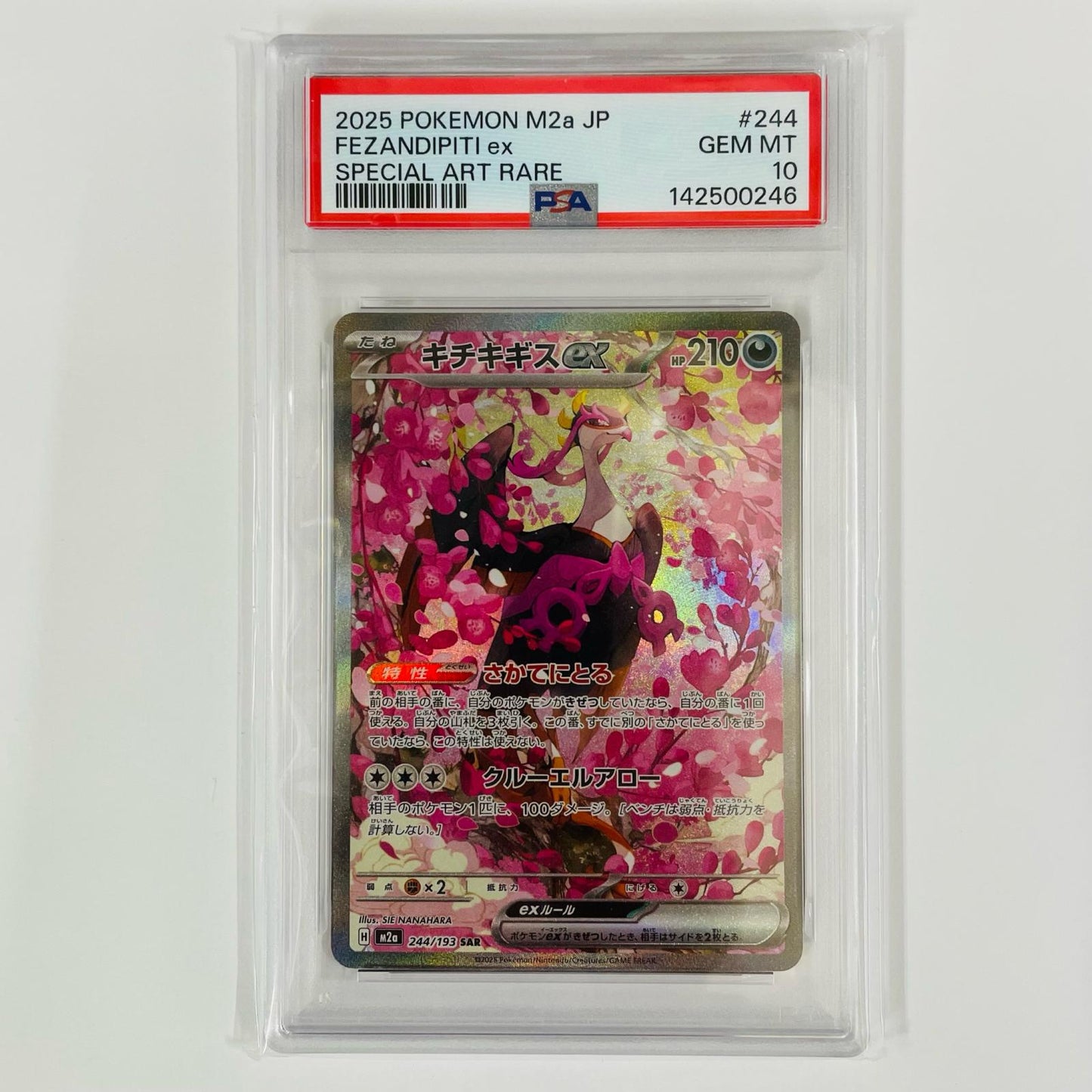 PSA10 Kichikigisu ex SAR M2a-244