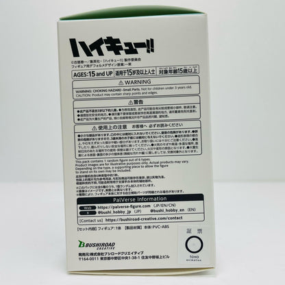 Oikawa Tooru "PalVerse Haikyuu!! Vol. 2" [Figure]