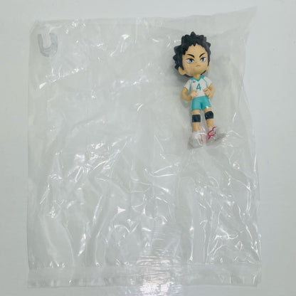 Iwaizumi Hajime "PalVerse Haikyuu!! Vol. 2" [Figure]