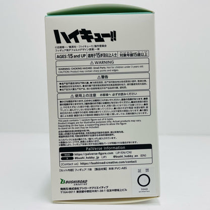 Iwaizumi Hajime "PalVerse Haikyuu!! Vol. 2" [Figure]