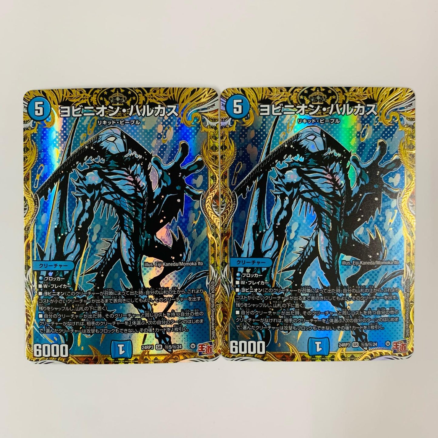Yobion Halcas SR DM24-RP3-Secret 5