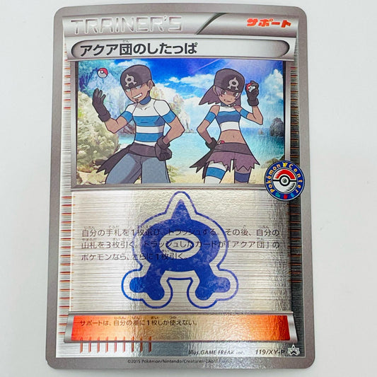 Team Aqua Grunt - 119/XY-P