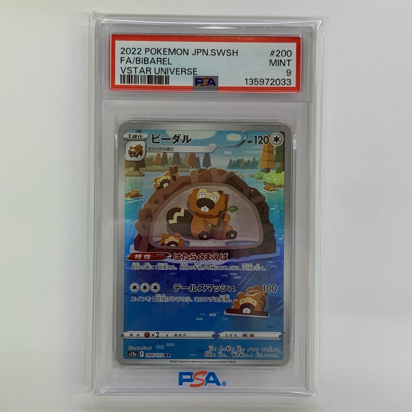 PSA9 Bibarel AR S12a-200
