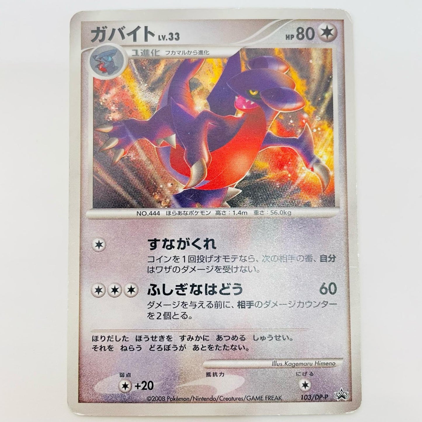 Gible LV.33
