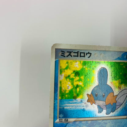 ミズゴロウ