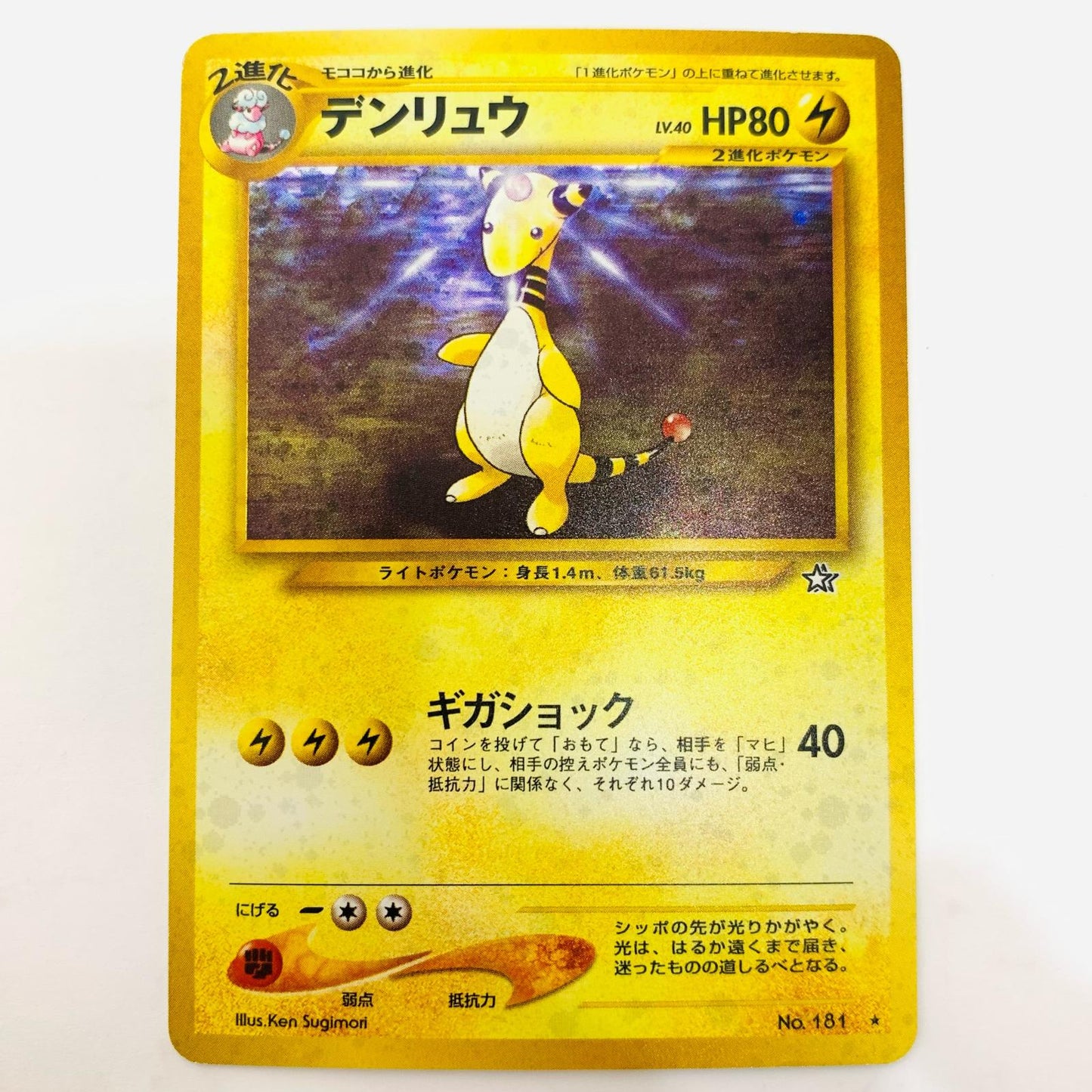 デンリュウLV.40 旧裏