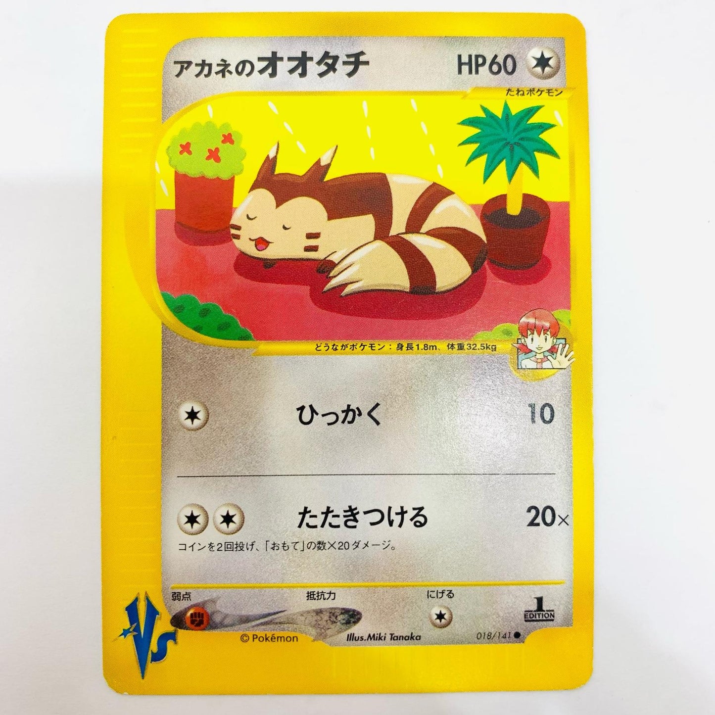 アカネのオオタチ eカード