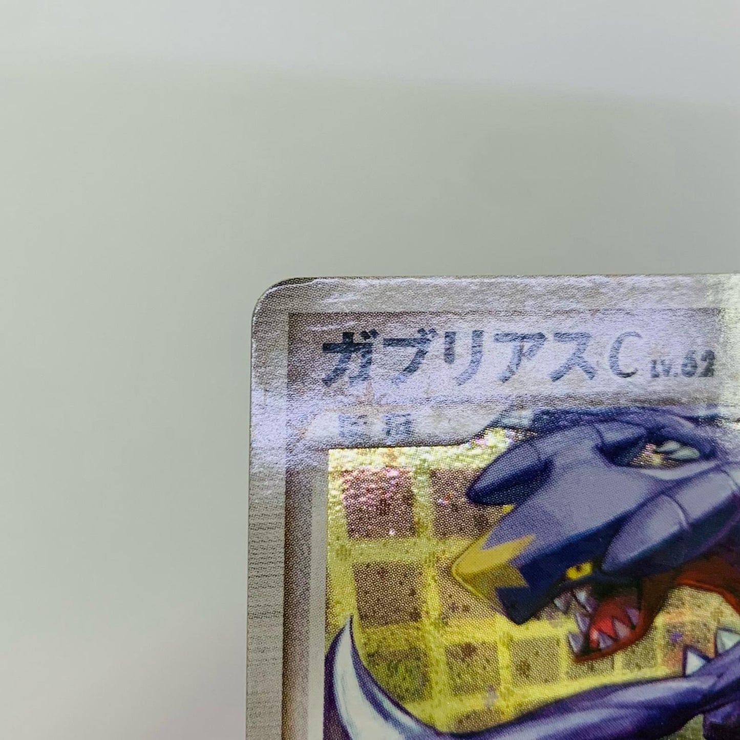 ガブリアスCLV.62
