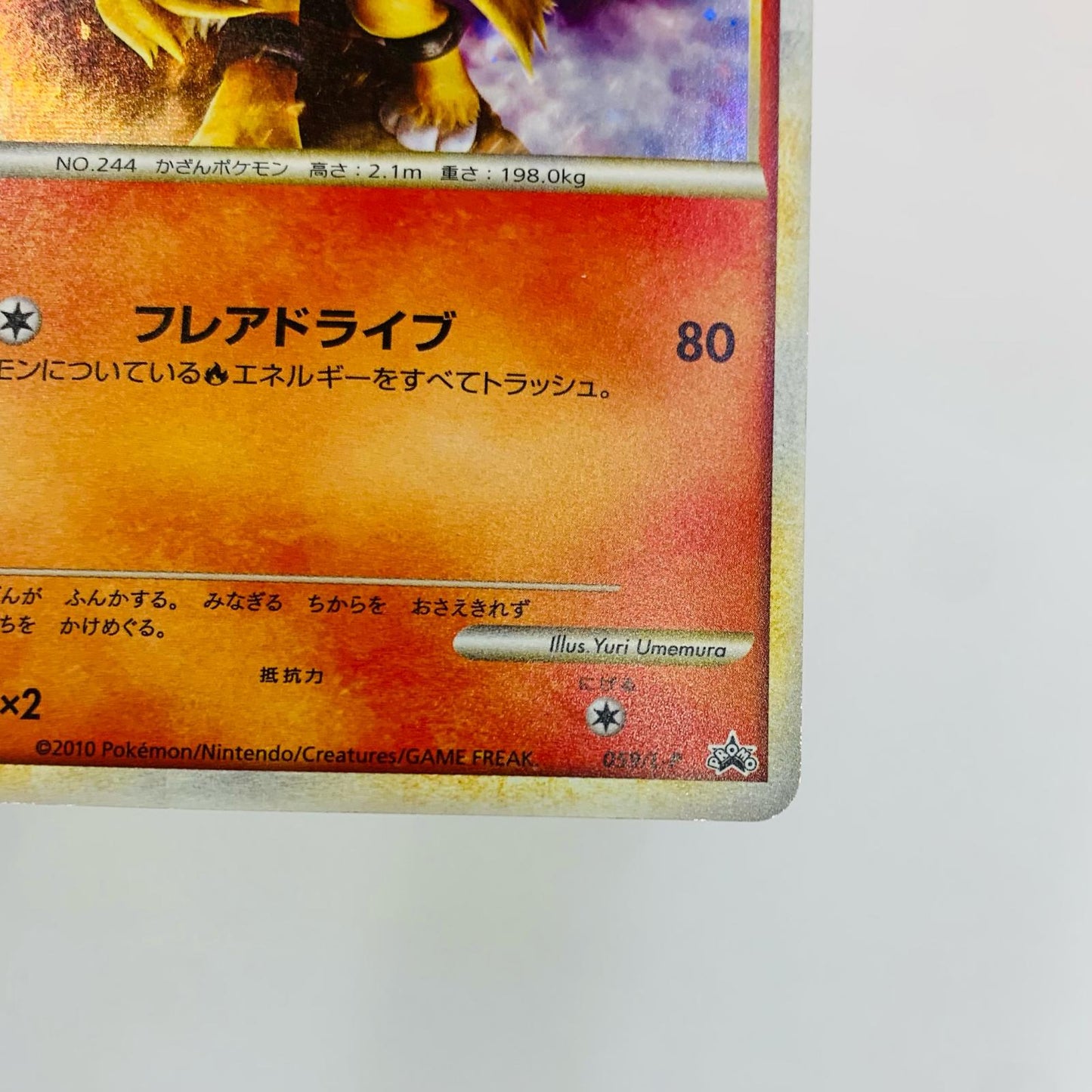 エンテイ