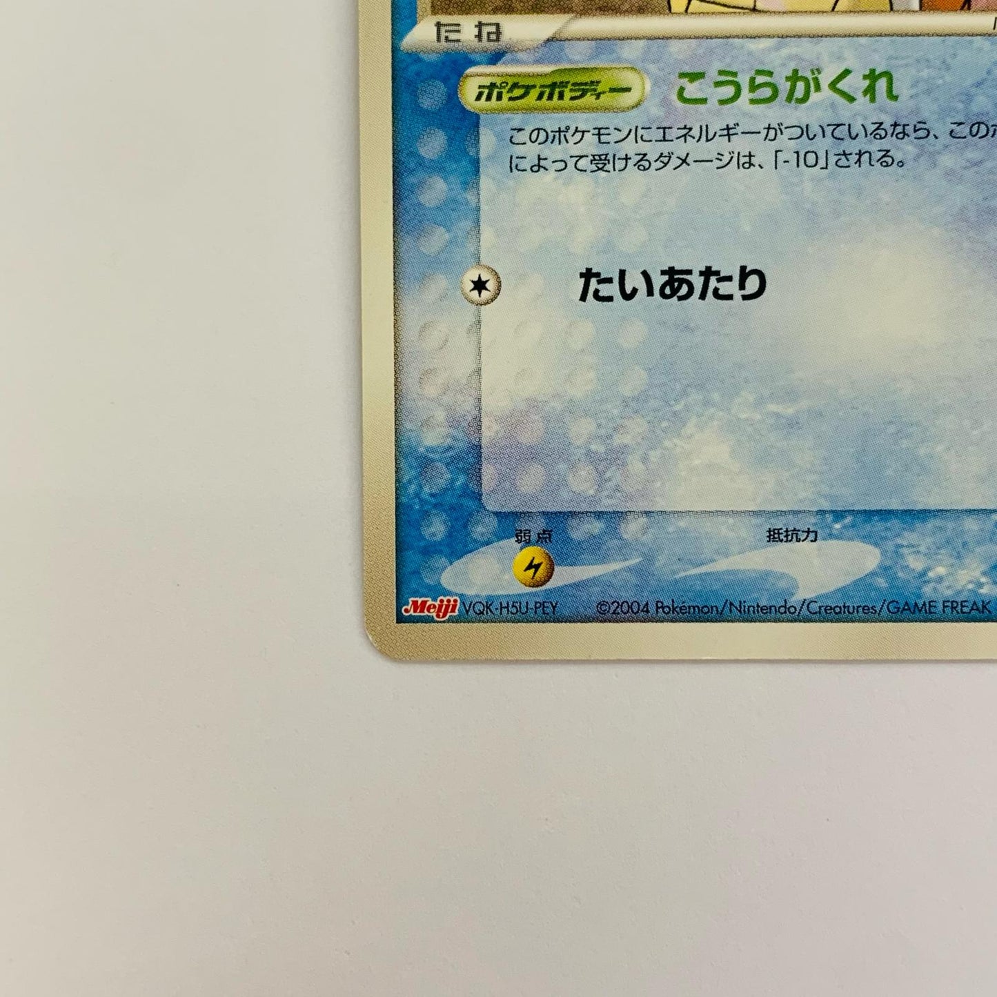 ゼニガメ