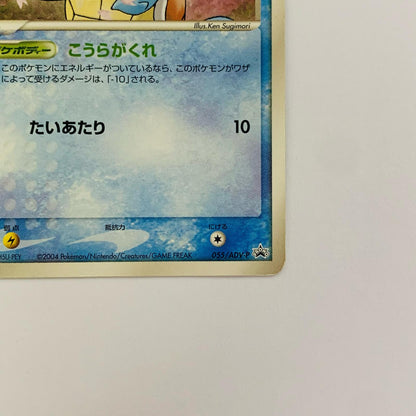ゼニガメ