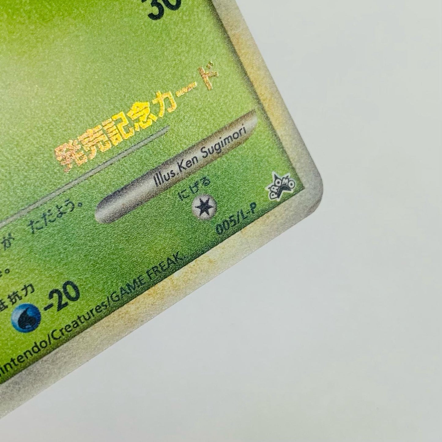 チコリータ