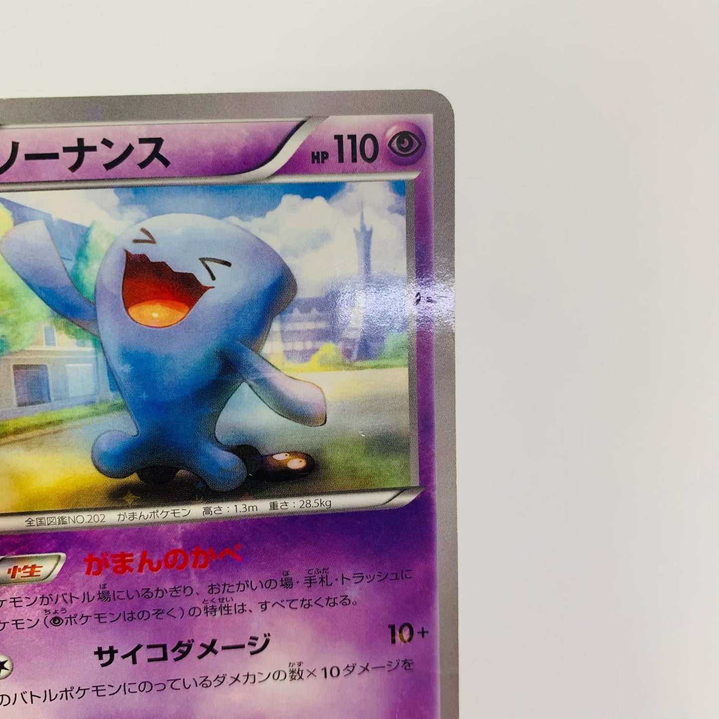 ソーナンス - 080/XY-P