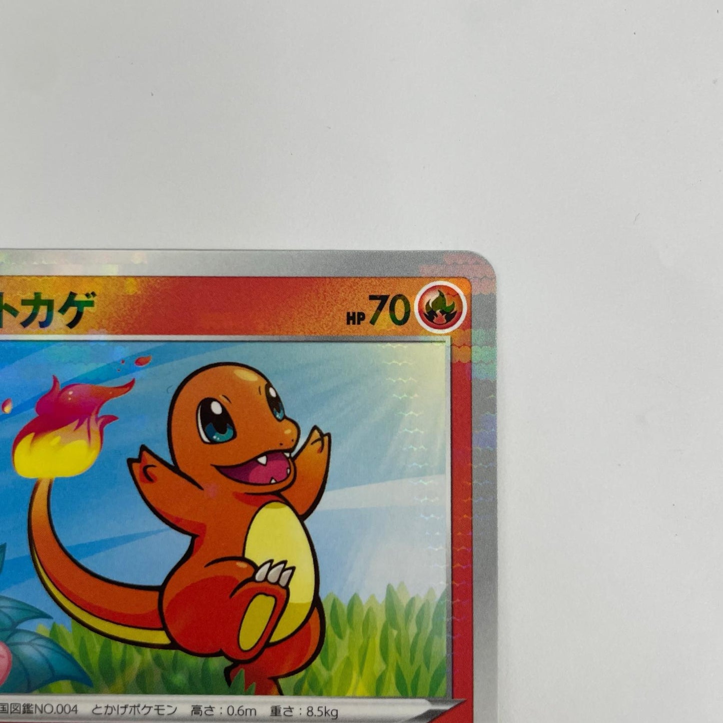 ヒトカゲ ミラー - S8b-015