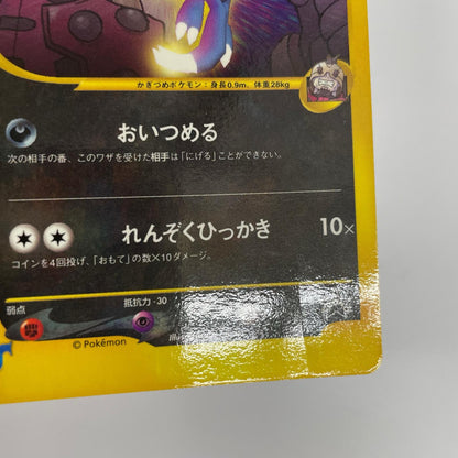 R団のニューラ eカード