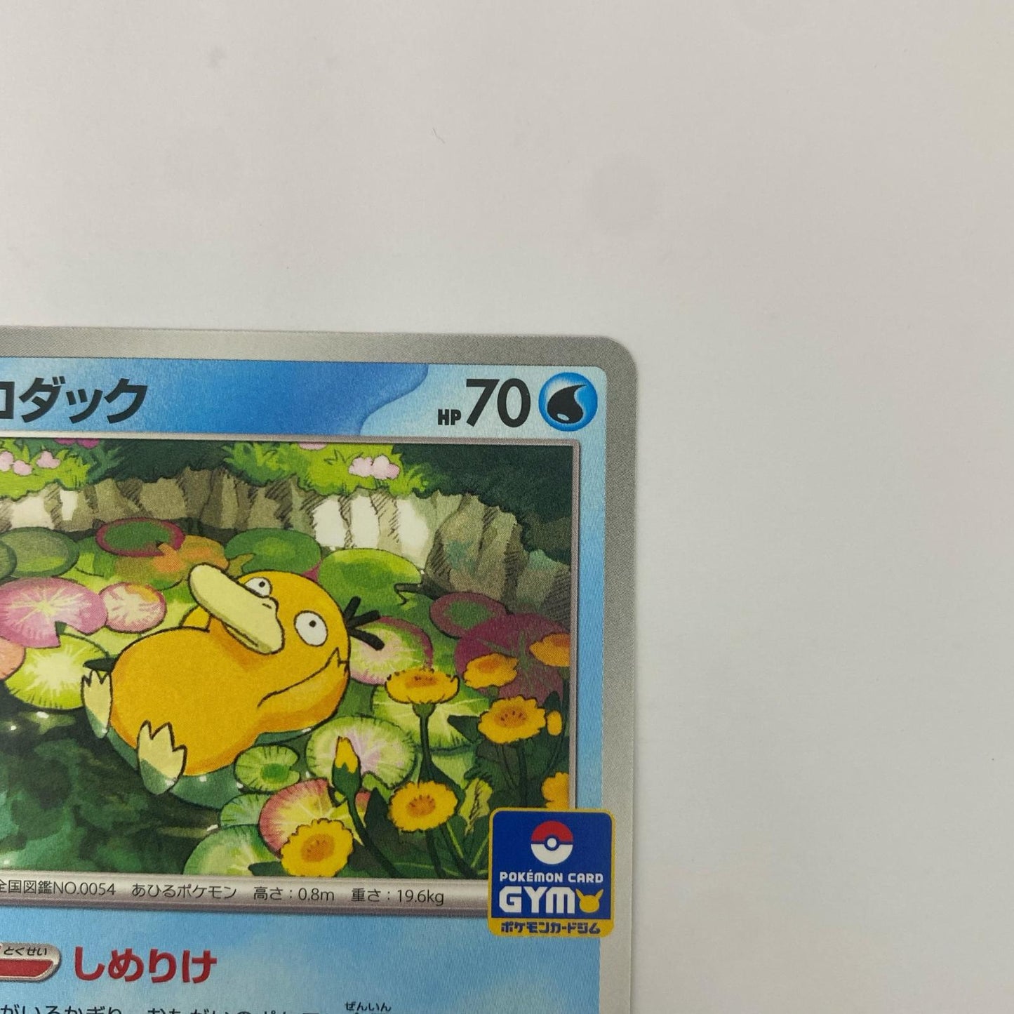 コダック - 262/SV-P