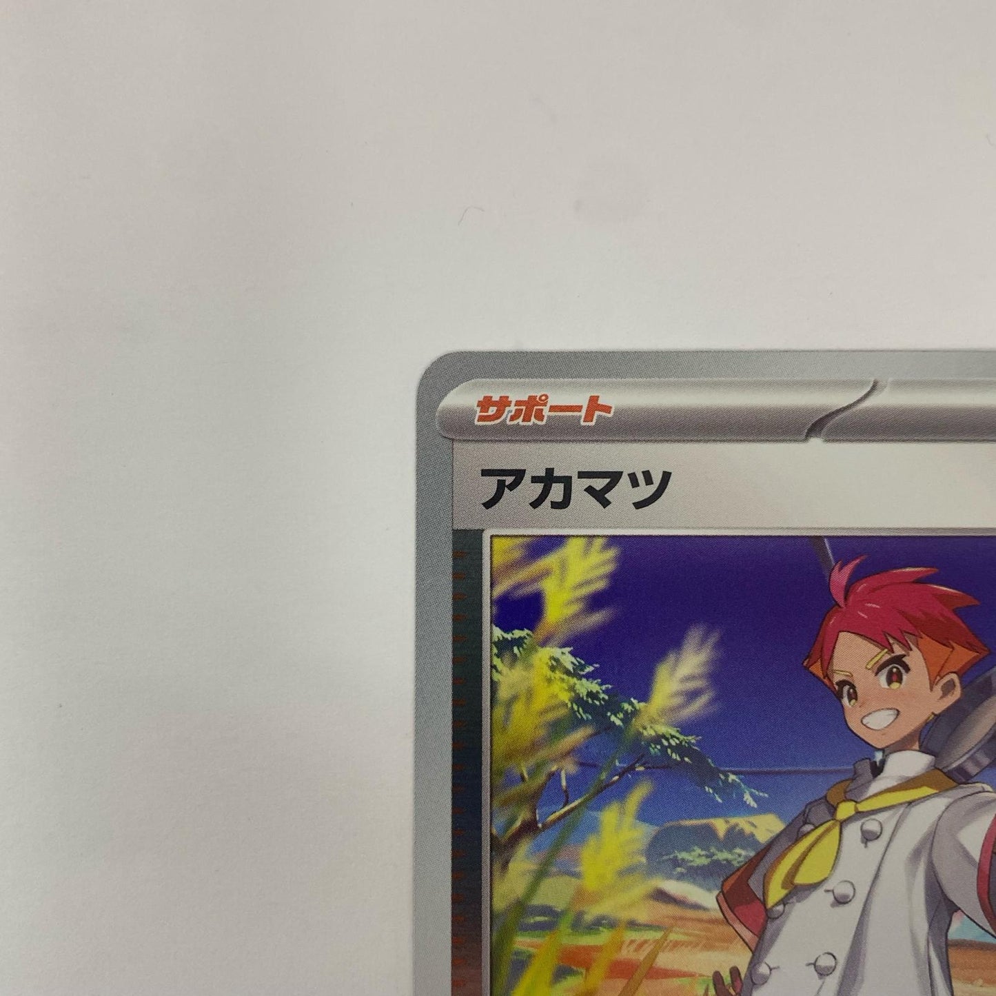 アカマツ - 191/SV-P
