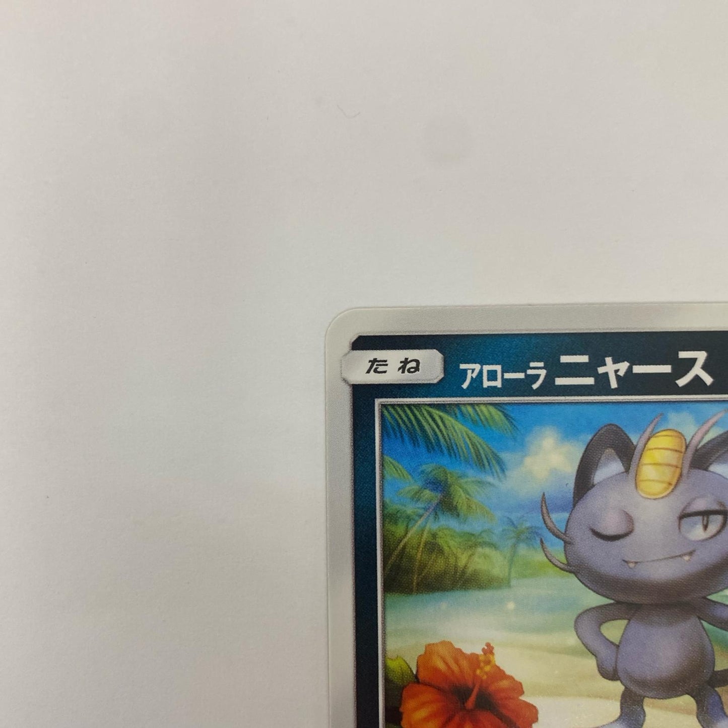 アローラニャース - 032/SM-P