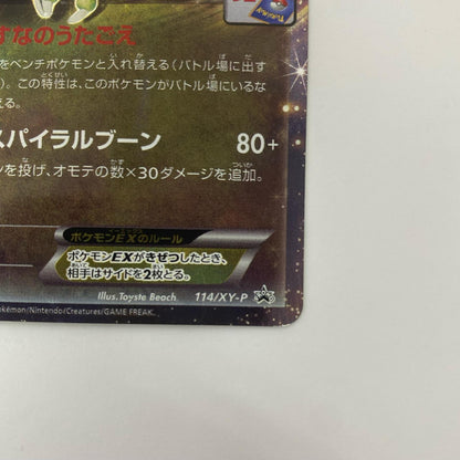 フライゴンEX - 114/XY-P