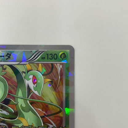 ジャローダ