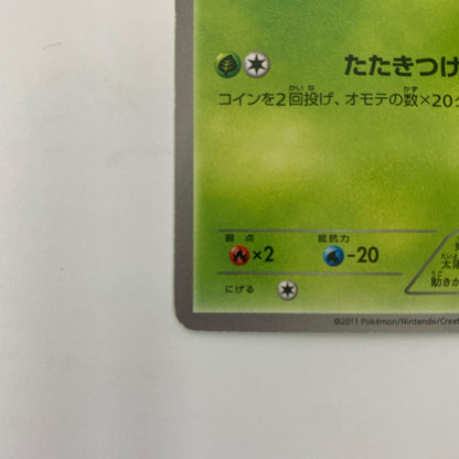 ツタージャ