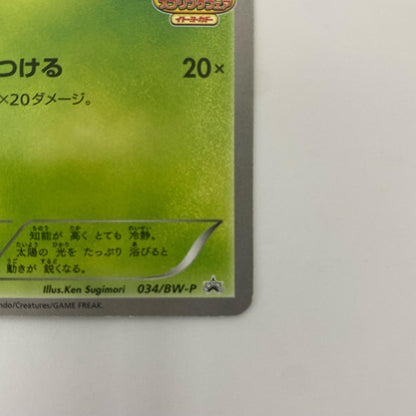 ツタージャ