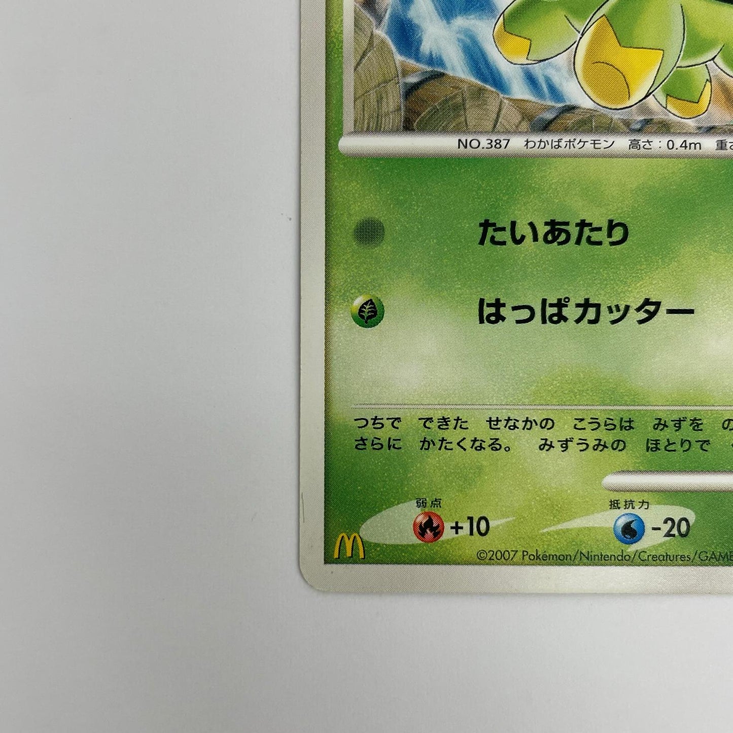 ナエトルLV.10