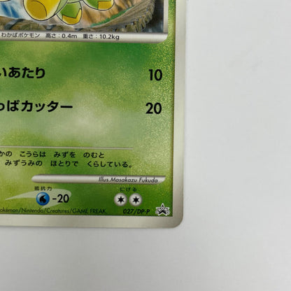 ナエトルLV.10