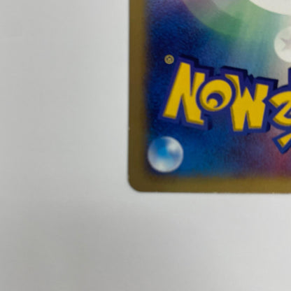 ナエトルLV.10