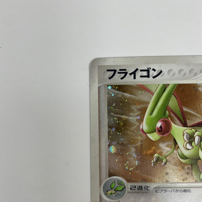フライゴン